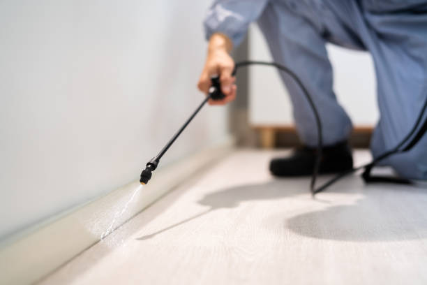 Professional exterminator conducting IPM assessment in Pines Lake