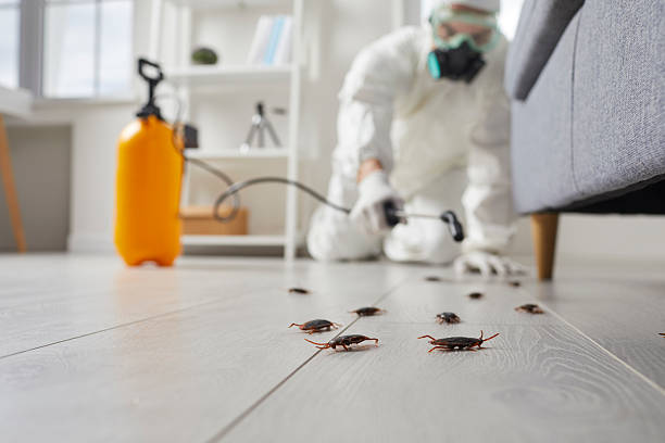 Post-Treatment Bed Bug Interceptor Monitoring in Pines Lake
