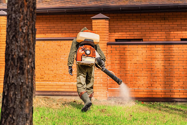 Bed Bug Clearance Verification and Documentation in Pines Lake